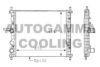 FIAT 71736181 Radiator, engine cooling